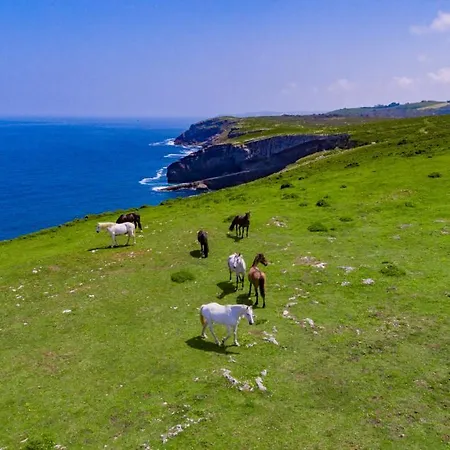 Alto Santiago Guest house San Vicente De La Barquera